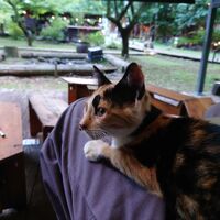 Blog